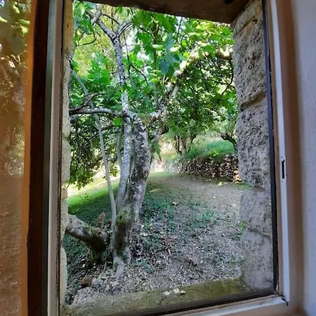 Holiday home La Grande Marque - Veprado *
